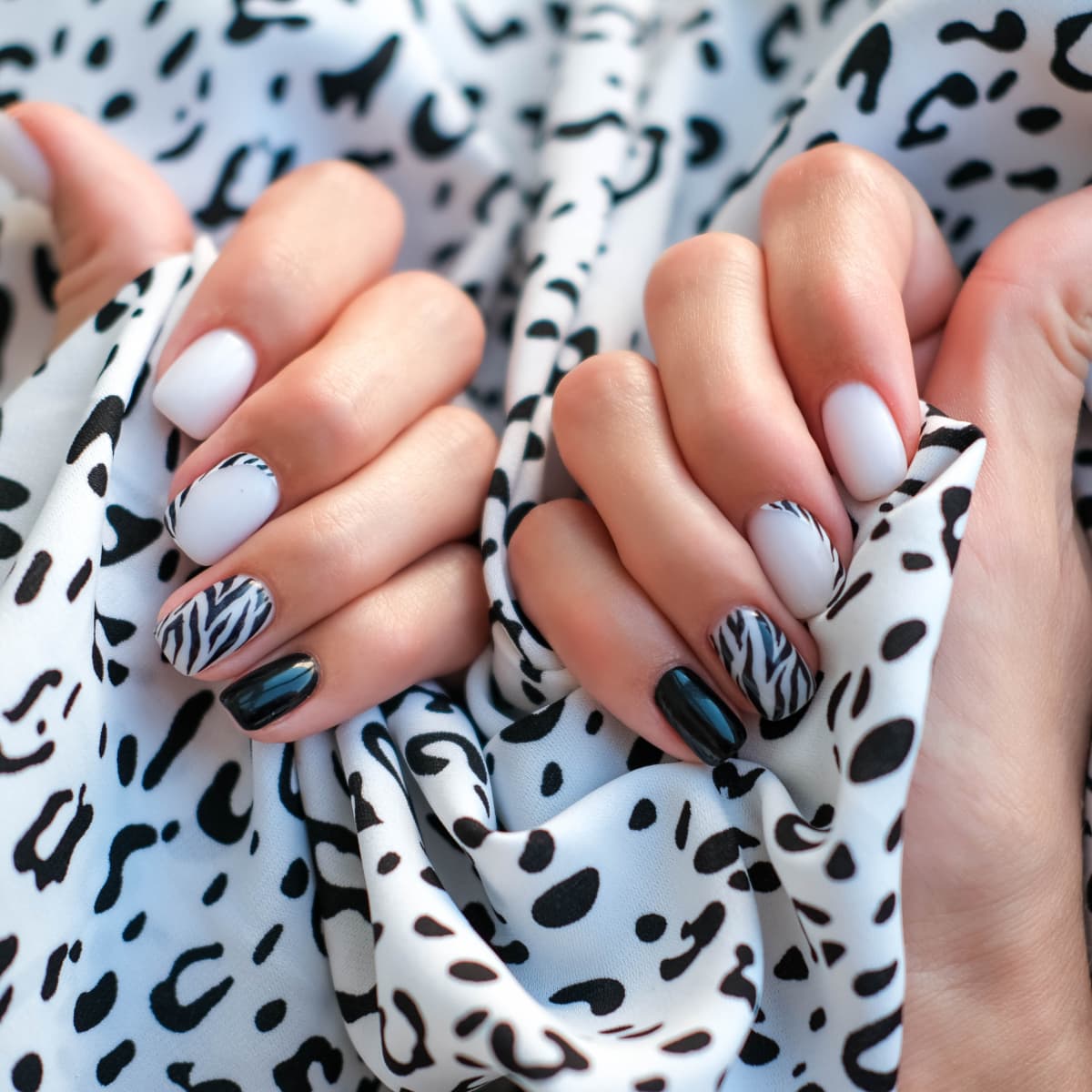 Safari nail shop