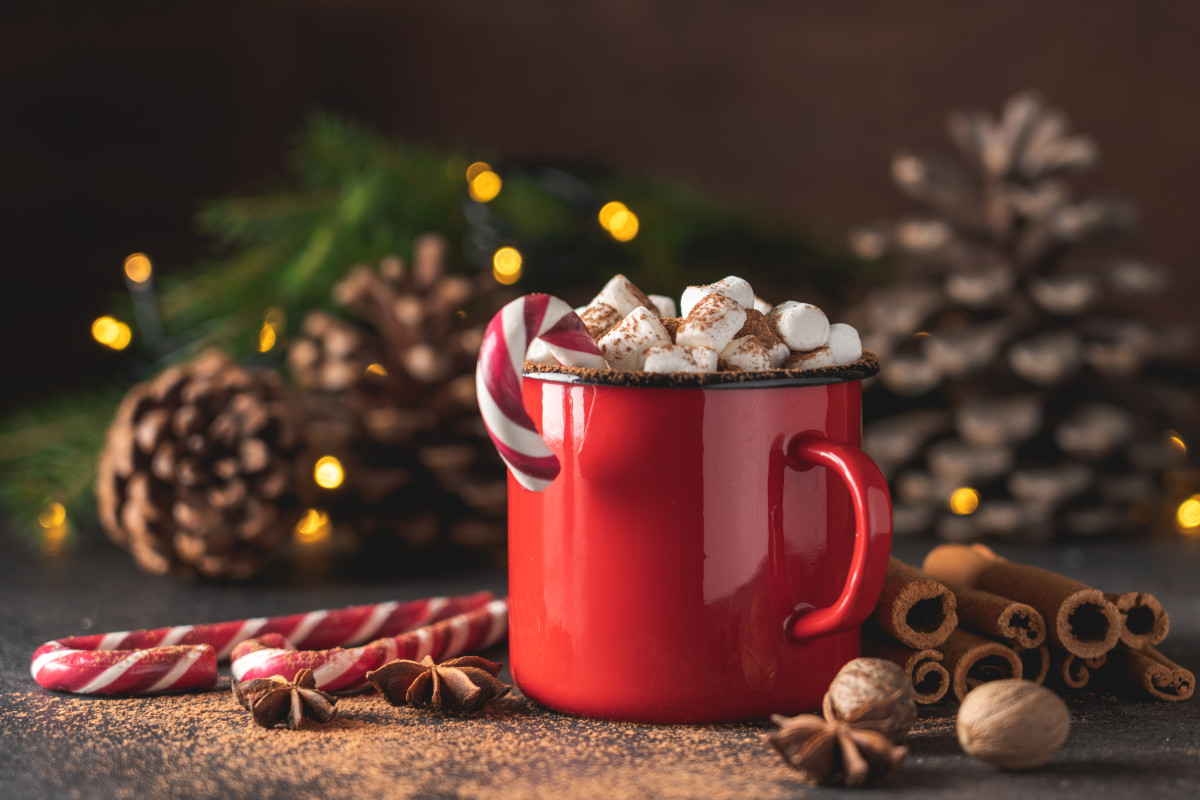 Hot Chocolate Is Actually Good for Your Skin. Happy Holidays ...