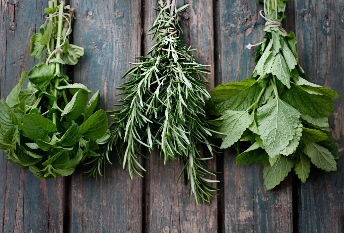 woman-swears-by-a-diy-herbal-concoction-to-help-with-hair-regrowth